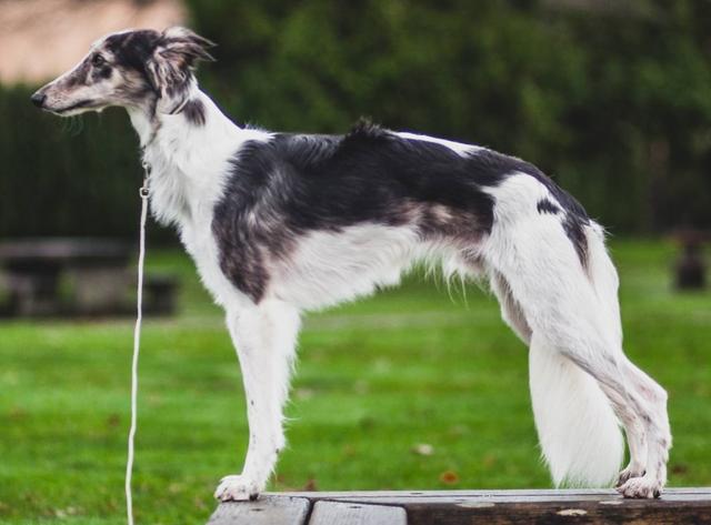 Photo of Winsome's Pendulum Traverse