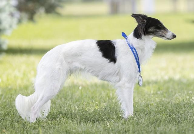 Photo of Winsome's Petronella