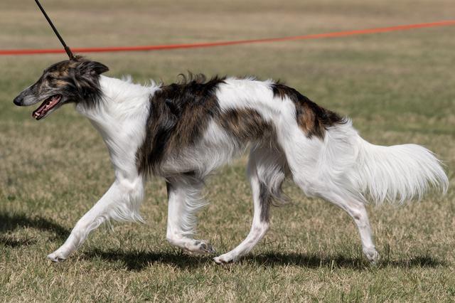 Photo of Winsome's Pousette