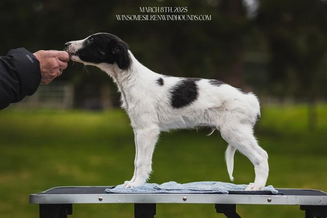 Photo of Winsome's Skyline Divide