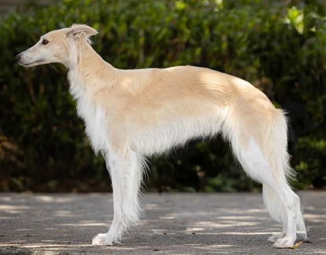 Photo of Winsome's Talisman of Time