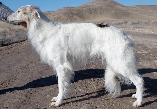 Photo of Wyndolyn Mirage