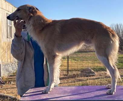 Photo of Wyndolyn Paint the Town Red