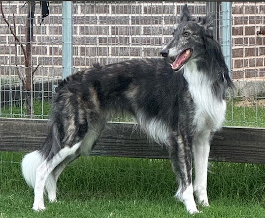 Photo of Wyndolyn Pirate King