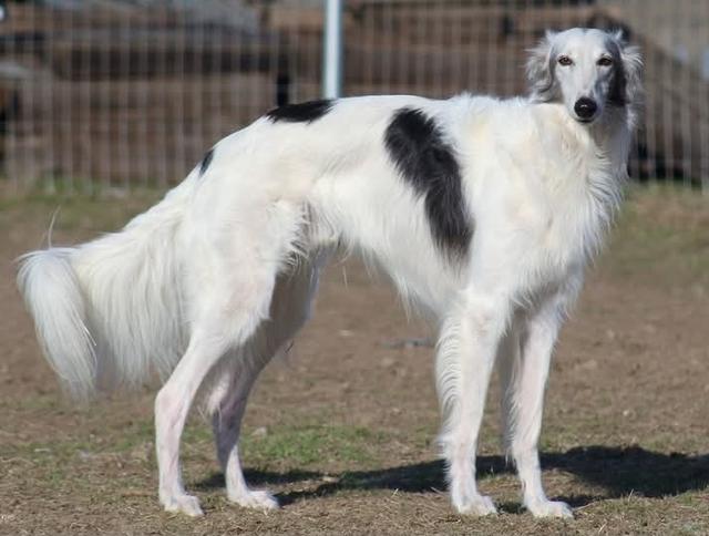 Photo of Wyndolyn Sterling Silver