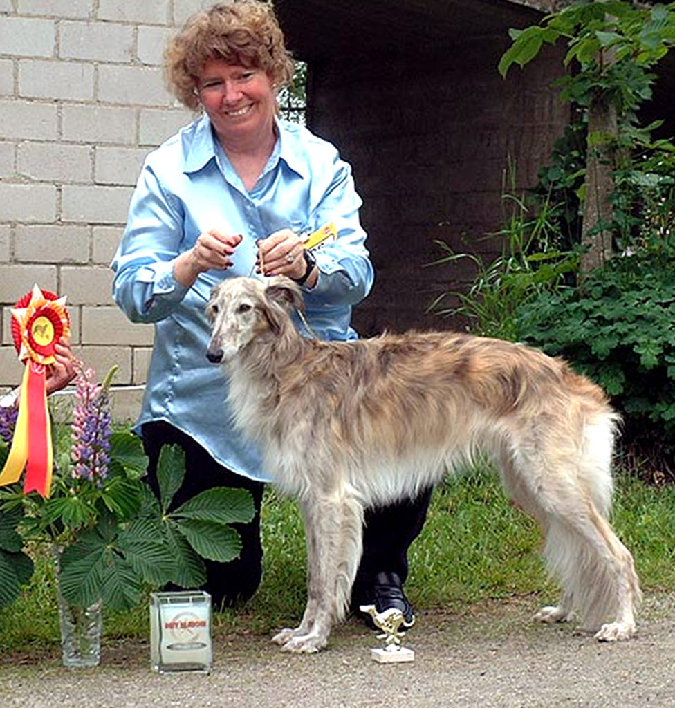 how to properly care for a silken windhound