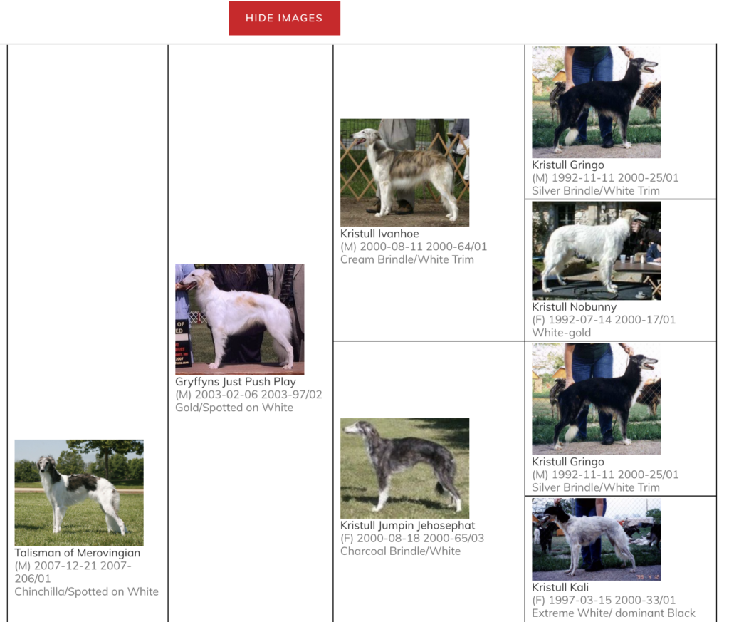 An example 5 generation pedigree with images shown