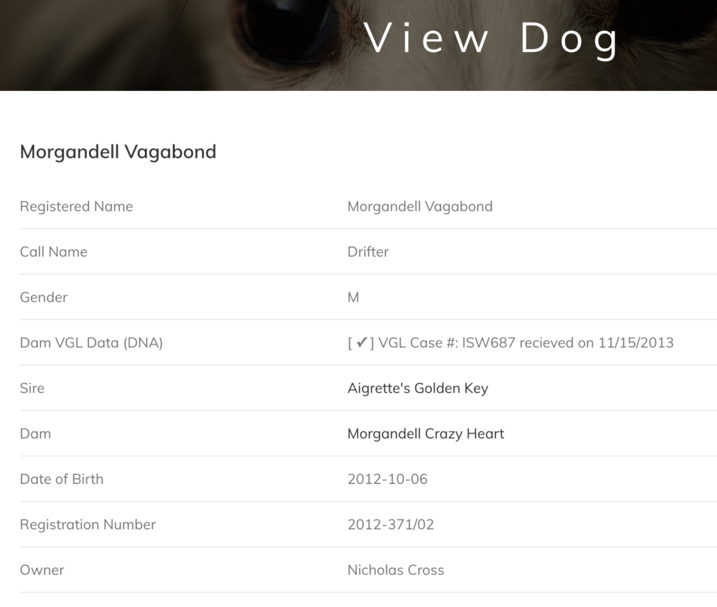 An example of what the View Dog page would be like for every dog