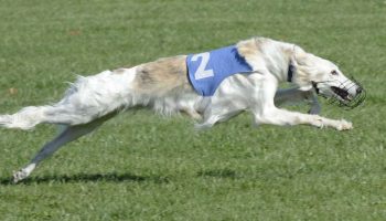 Racinggaryclaggett-1