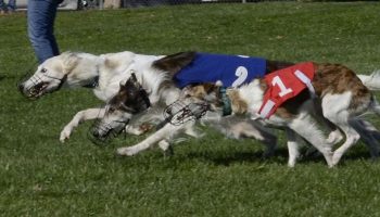 Racinggaryclaggett-3