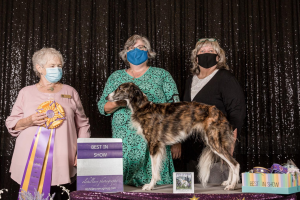 Screen Shot 2022-04-03 at 4.27.24 PM