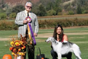 stackDresBISS2012Sat